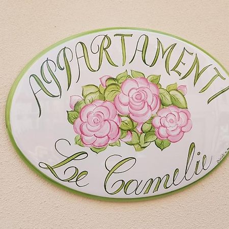 Le Camelie -Appartamenti Nuovi Porto SantʼElpidio Екстериор снимка
